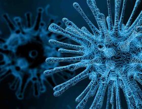 COVID-19 anxiety Life Education Queensland podcast virus coronavirus