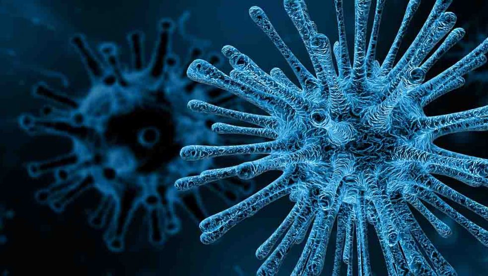 COVID-19 anxiety Life Education Queensland podcast virus coronavirus