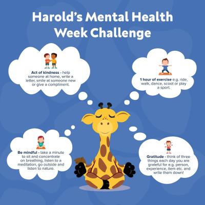 Harold's Mental Health Week Challenge Life Ed QLD
